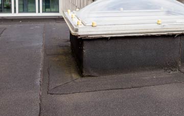 disadvantages of Newton Of Pitcairns flat roofs