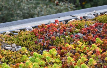 the cost of Newton Of Pitcairns green roof installation