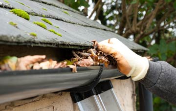 gutter cleaning Newton Of Pitcairns, Perth And Kinross