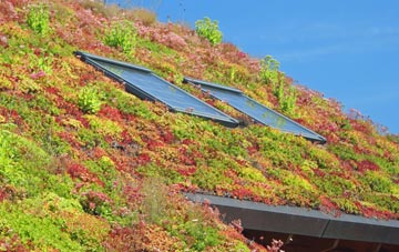 Newton Of Pitcairns living roof systems