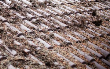 Newton Of Pitcairns roof cleaning companies