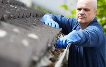 cleaning and inspecting Newton Of Pitcairns roofs
