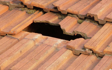roof repair Newton Of Pitcairns, Perth And Kinross