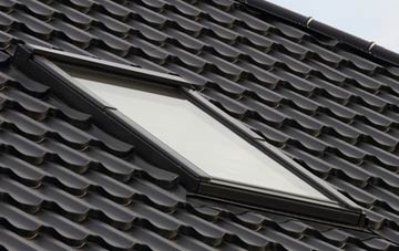 benefits of Newton Of Pitcairns roof windows