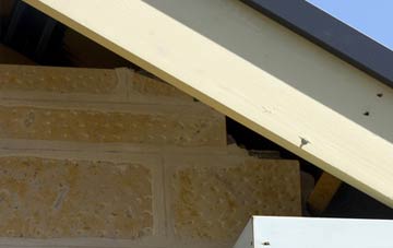 soffit repair Newton Of Pitcairns