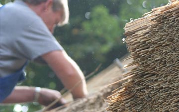 professional Newton Of Pitcairns thatchers