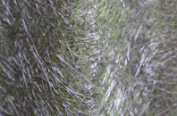 Newton Of Pitcairns fibreglass roof work